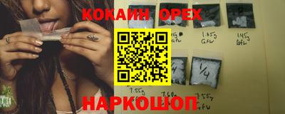 гашик Будённовск