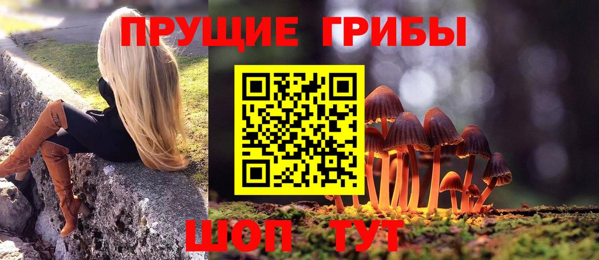Заречный  Галлюциногенные грибы мицелий  Вход с VPN 