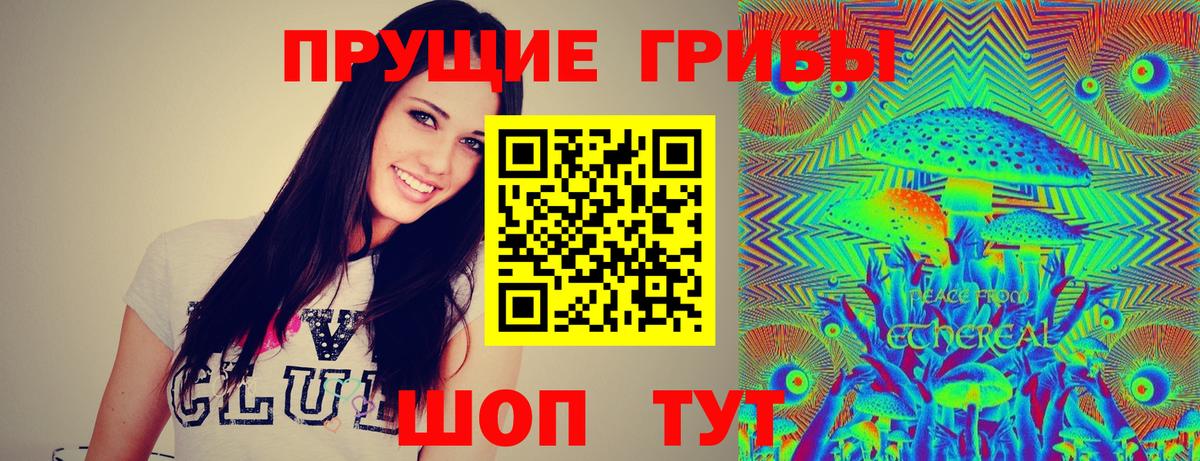 Псилоцибиновые грибы Magic Shrooms Заречный