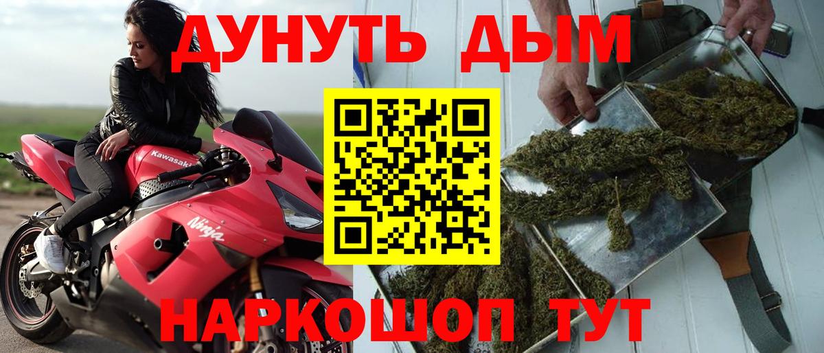 Конопля SATIVA & INDICA Заречный